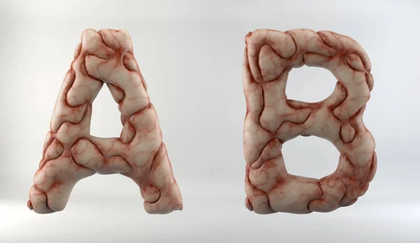 3D ілюстрація мозку абетка — стокове фото