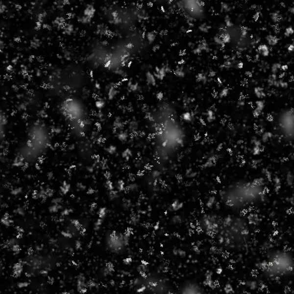 Textura Copo Nieve Sin Costura Sobre Fondo Negro —  Fotos de Stock