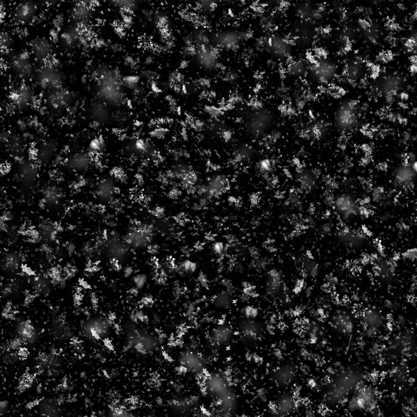 Texture Senza Soluzione Continuità Fiocco Neve Sfondo Nero — Foto Stock