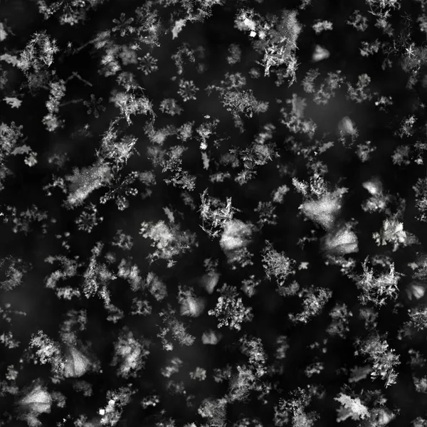 Seamless Snowflake Texture Black Background — Stock Photo, Image
