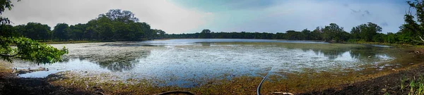 Costa Belo Lago — Fotografia de Stock