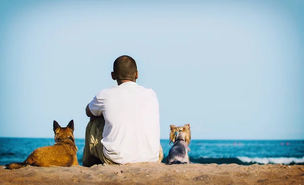Mann Und Hund Strand Schauen Aufs Meer — Stockfoto