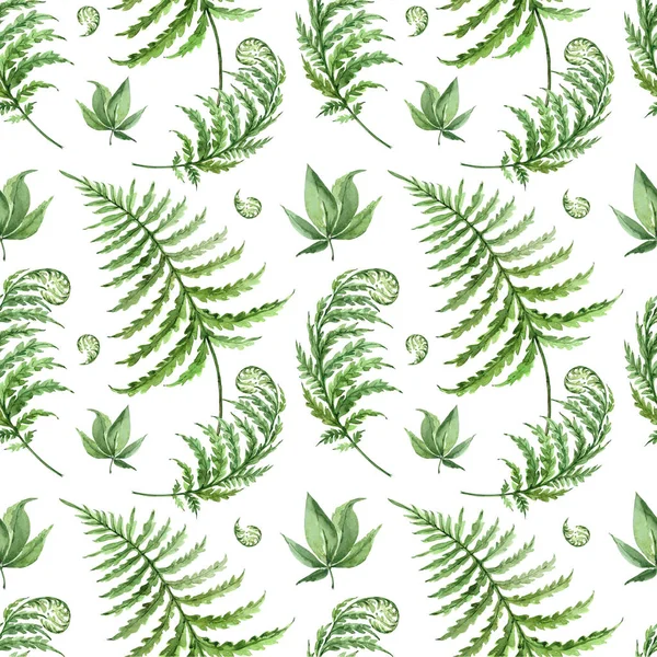 Vzorek Zelené Listy Kapradí Akvarel Bílém Pozadí — Stock fotografie