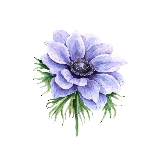 Μπλε Λουλούδι Λευκό Φόντο Ζωγραφική Ζωγραφική — Φωτογραφία Αρχείου