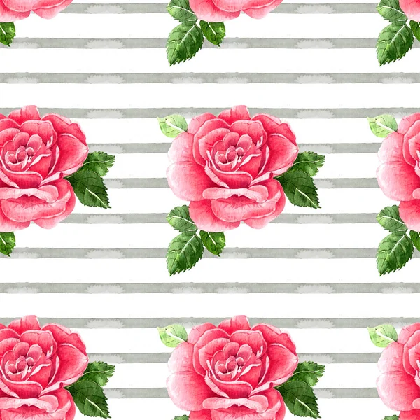 Pattern Pink Rose Flower Watercolor Painting White Background Stripe — Stock Photo, Image