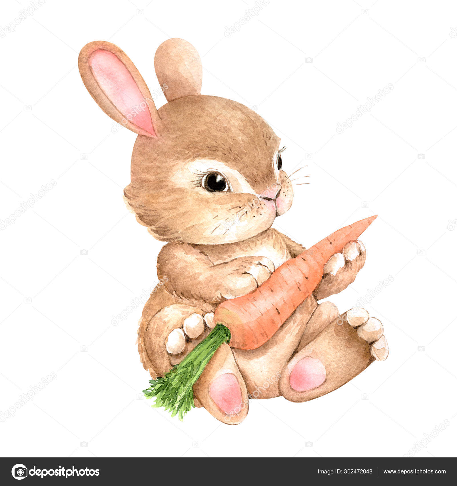 Dibujo conejo fotos de stock, imágenes de Dibujo conejo sin royalties |  Depositphotos
