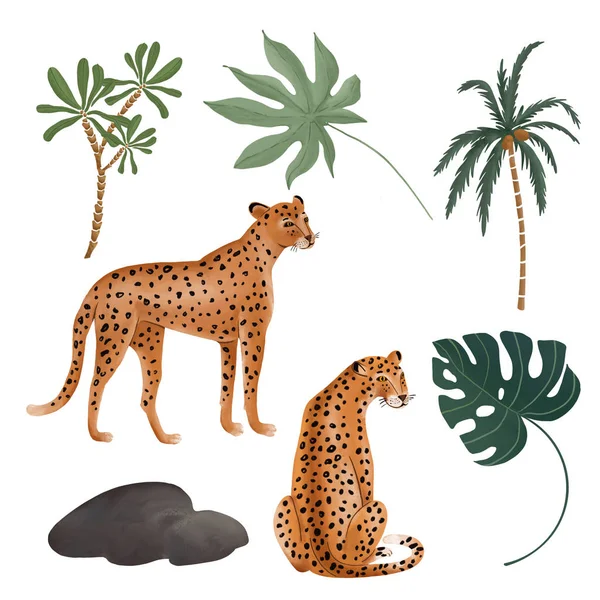 Digitale Zeichnung Von Leoparden Und Tropischen Pflanzen Auf Weißem Hintergrund — Stockfoto