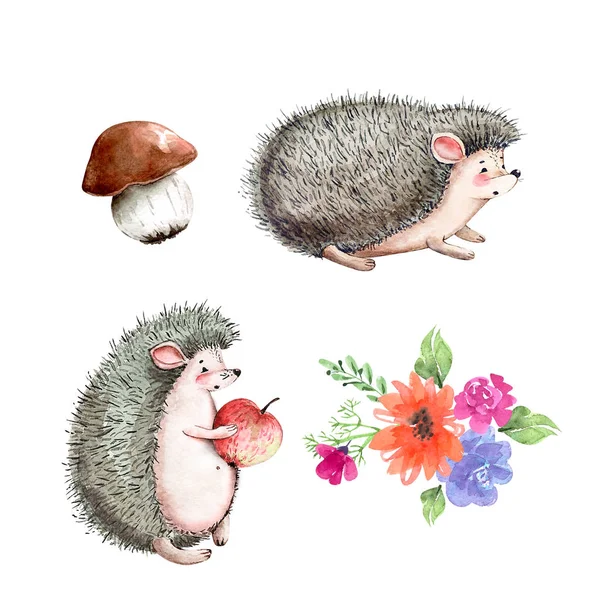 Set Watercolor Illustrations Hedgehogs Mushroom Flower Bouquet Drawings Animals White — Stock Photo, Image