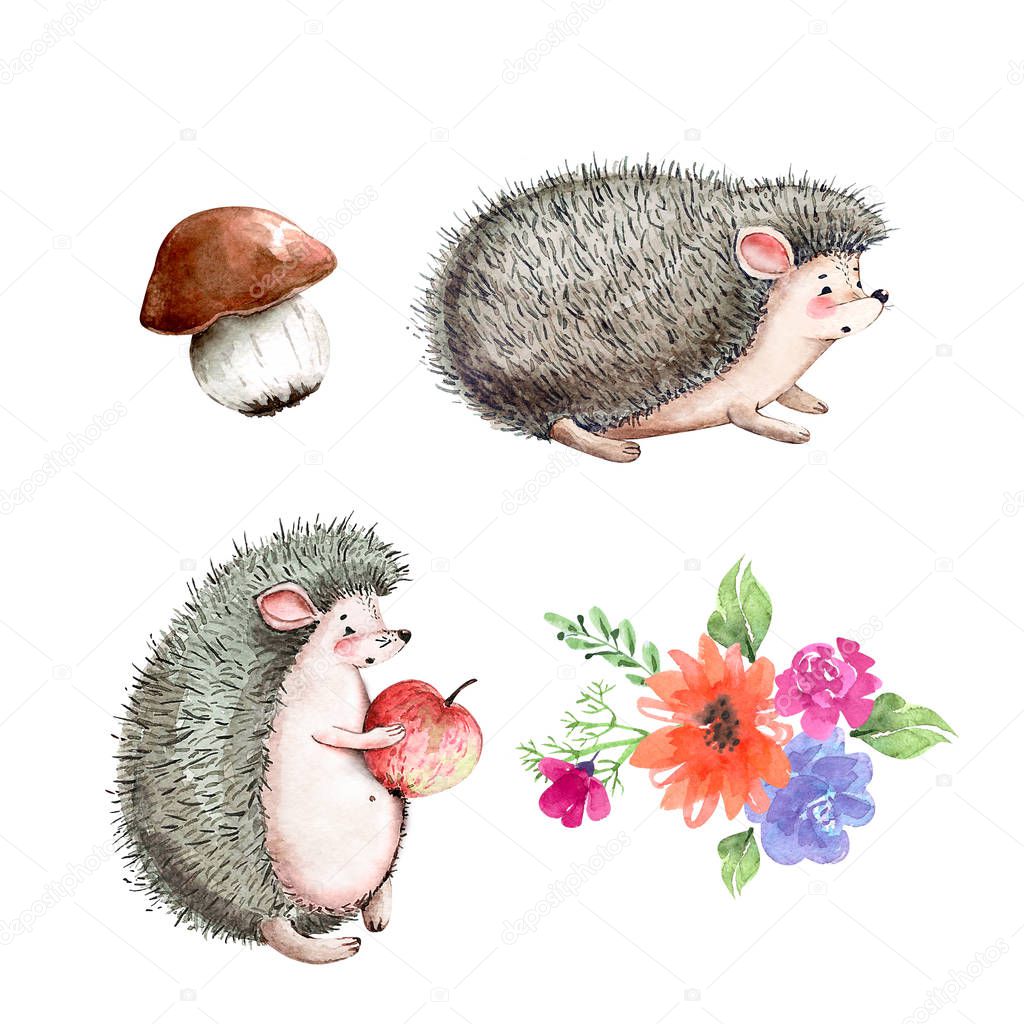 set of watercolor illustrations hedgehogs, mushroom, flower bouquet. drawings of animals on a white background