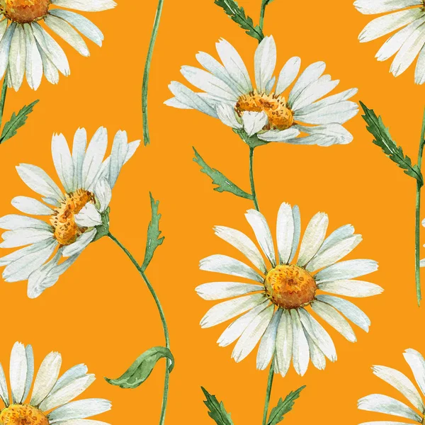 Mönster Vita Daisy Blommor Orange Bakgrund Akvarell Ritning — Stockfoto