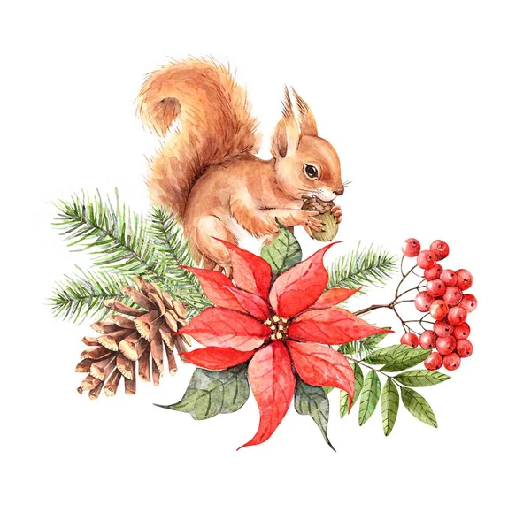 Acquerello Illustrazione Bouquet Natale Con Scoiattolo — Foto Stock