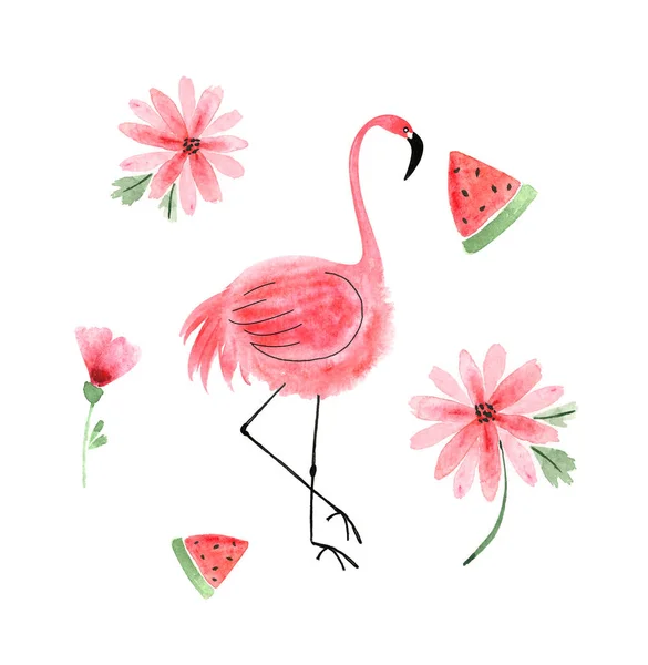 Aquarell Zeichnung Rosa Flamingo Mit Rosa Blumen Und Wassermelone — Stockfoto