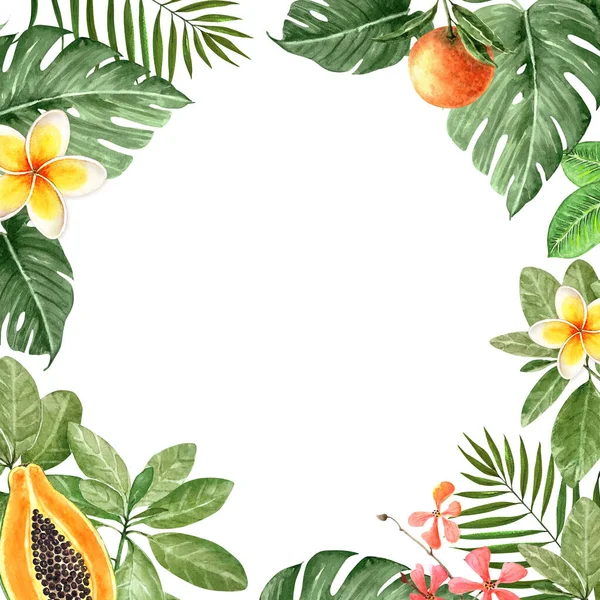 Frame Green Exotic Palm Leaves Fruits Flowers Watercolor Illustration White — Stock Photo, Image