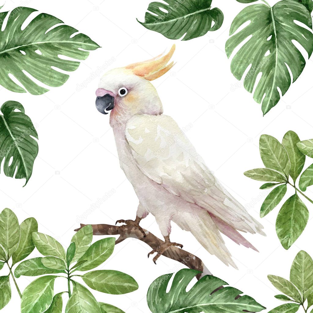 white cockatoo bird on a branch in a frame with green tropical leaves, watercolor illustration