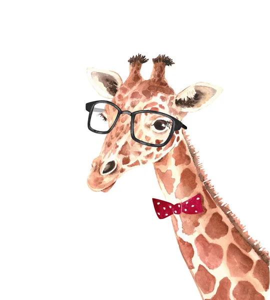 cute giraffe gentleman with glasses and a bow-tie, closeup watercolor illustration