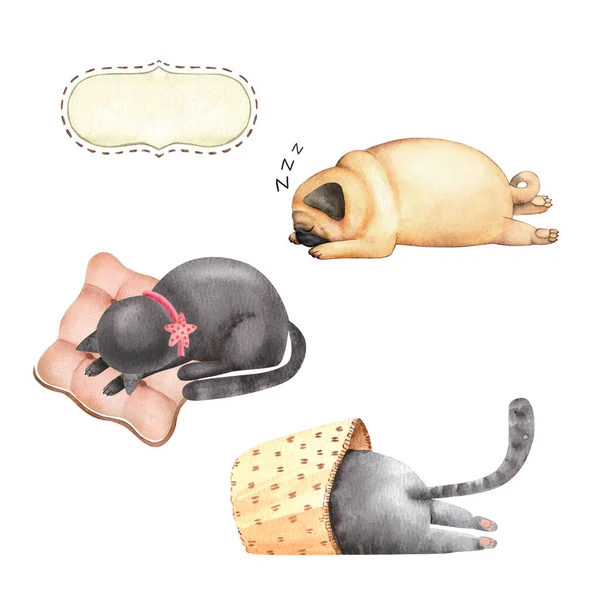 Aquarell Illustrationen Von Niedlichen Haustieren Katzen Und Mops Nahaufnahme Auf — Stockfoto