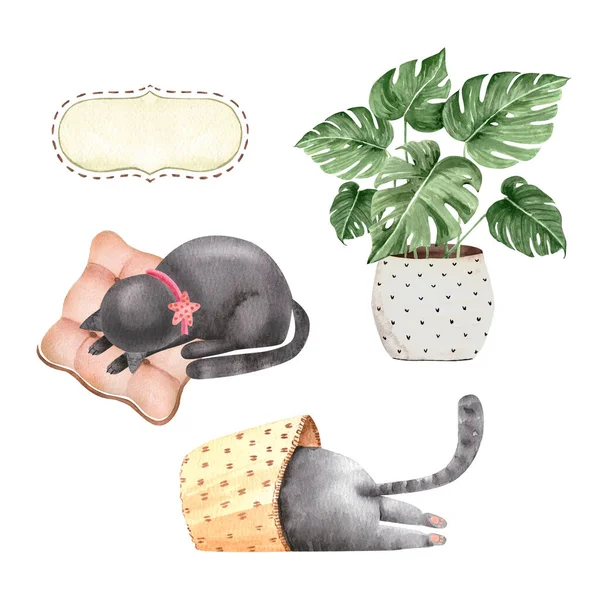 白地にかわいい猫と鉢植えの水彩画のイラストがセットになっています — ストック写真