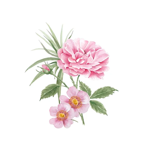Ramo Con Delicadas Rosas Flores Hierbas Ilustración Primer Plano Acuarela — Foto de Stock