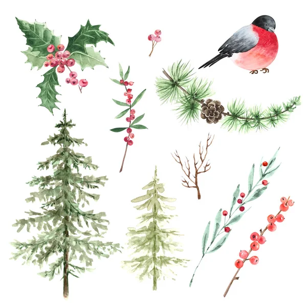 Χριστουγεννιάτικες Ζωγραφιές Ακουαρέλες Για Τις Διακοπές Φύση Και Ζώα Λευκό — Φωτογραφία Αρχείου