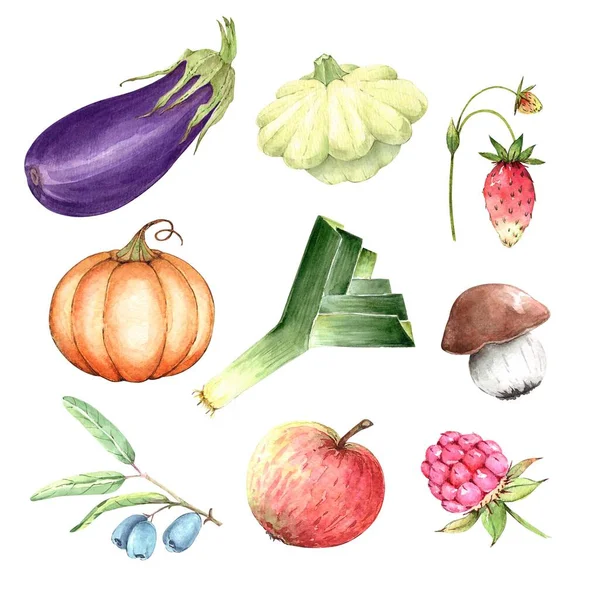 Set Van Aquarel Illustraties Van Fruit Bessen Groenten Een Witte — Stockfoto