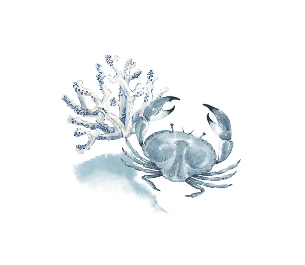Caranguejo Marinho Fundo Coral Branco Ilustração Aquarela Azul — Fotografia de Stock