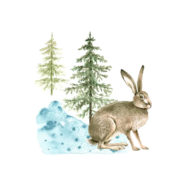 Vild Hare Bakgrund Gröna Julgranar Akvarell Illustration För Vintersemester — Stockfoto