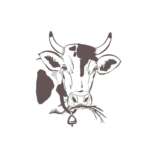 Beyaz arkaplanda izole edilmiş inek kafası klasik tasarımı — Stok Vektör