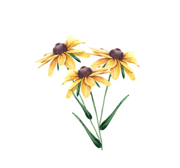 Bukiet Żółtych Kwiatów Ogrodowych Ilustracja Akwarela Zbliżenie — Zdjęcie stockowe