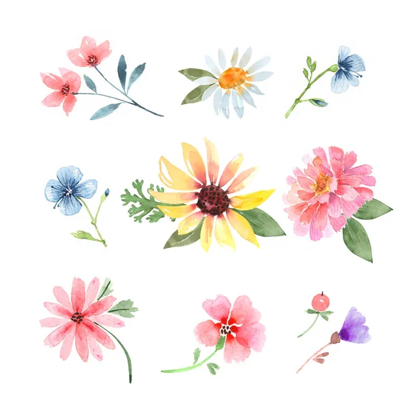 Uppsättning Akvarell Flerfärgade Blommor Vit Bakgrund — Stockfoto