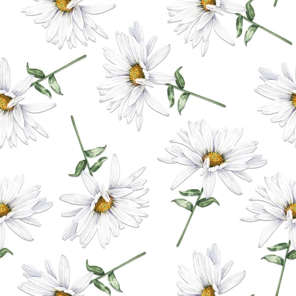 白い背景に白い花のデイジーのシームレスなパターンを閉じる — ストック写真
