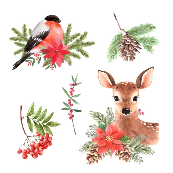Aquarell Weihnachten Illustrationen Tiere Und Pflanzen Isoliert Auf Weißem Hintergrund — Stockfoto