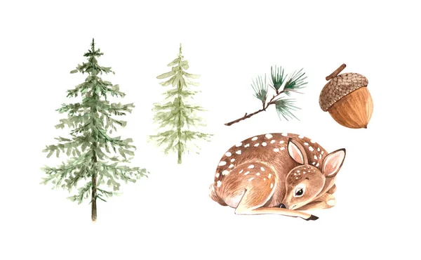 Reihe Von Aquarell Illustrationen Von Naturwald Und Tierischem Junghirsch — Stockfoto