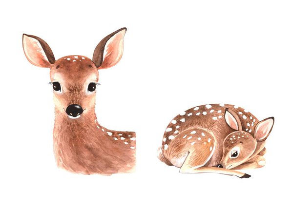 Set of watercolor illustrations of cute cubs deer,  animals isolated on white background. hand painted close up