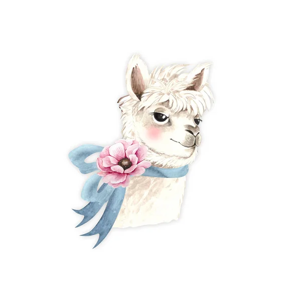 Aquarela Ilustração Branco Alpaca Com Flor Rosa Animal Bonito Fundo — Fotografia de Stock