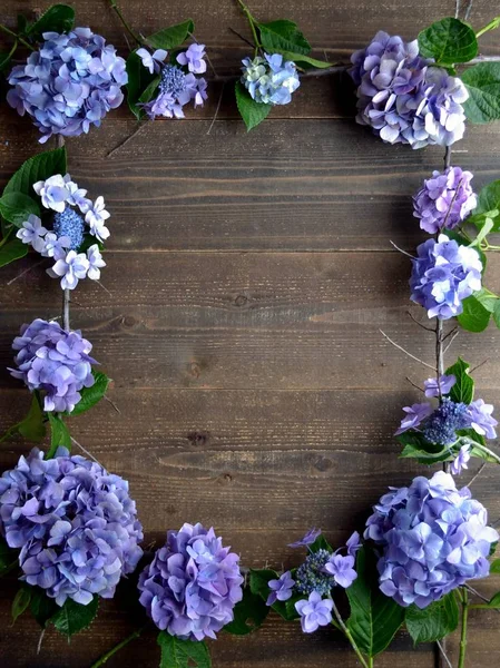 Purple hydrangea frame.on the black wooden background