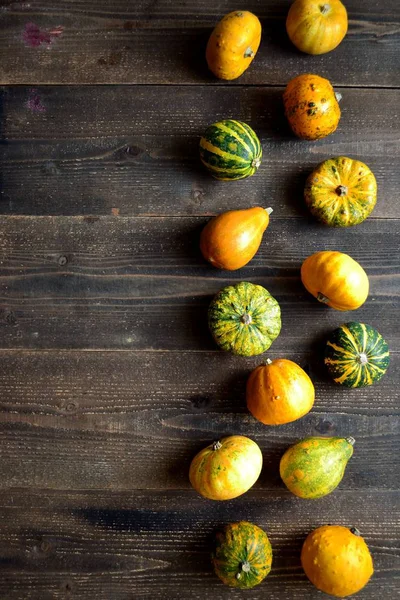 Colorful pumpkins on the black wooden background