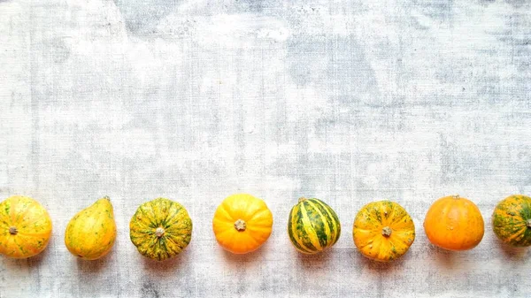Colorful pumpkins on the white background