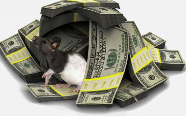 Kendini Amerikan paralarının yuvası yapan ve içinde rahat olan güzel, temiz fare yaşıyor.