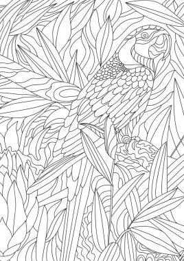 Çiçek desenli anahat papağan