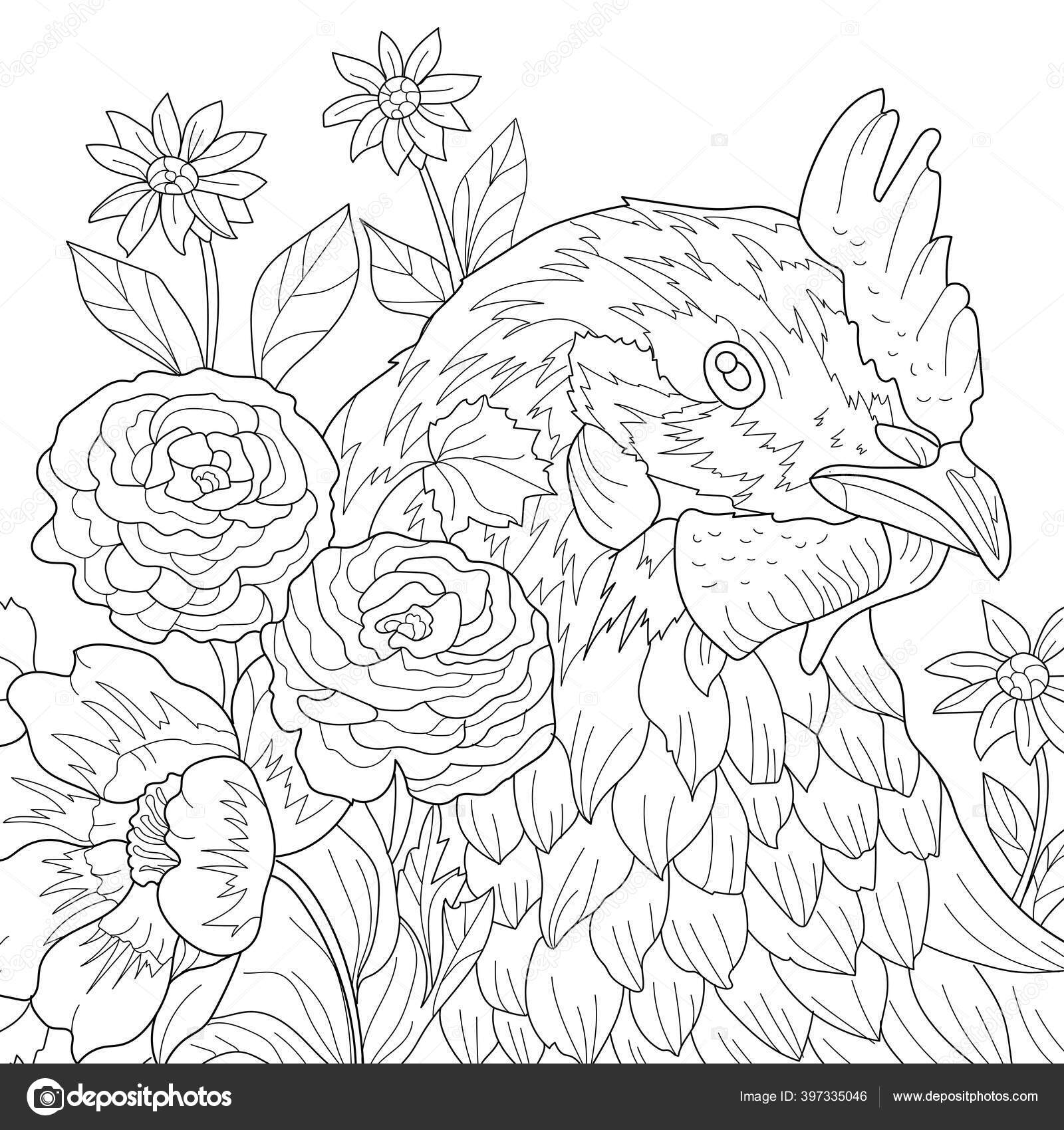 Coloring Illustration Picture Chicken Bird Animal Stock Photo By C Suriko 397335046