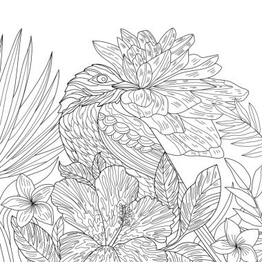 Çiçekler ve kuşlarla renklendirme