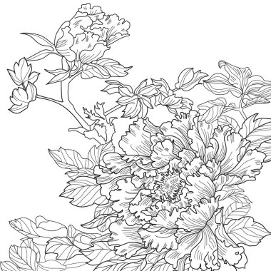 Çiçek yaprakları, Renklendirme resimleri 