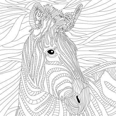 Resim boyama, zebra at hayvan sanatı. Zebra ile vektör boyama çizimi. Vahşi yaşam hayvan görüntüsü. Çizim atı. Siyah illüstrasyon. Boyama sayfası. Orman izi. Tek renkli çizgi çizimi
