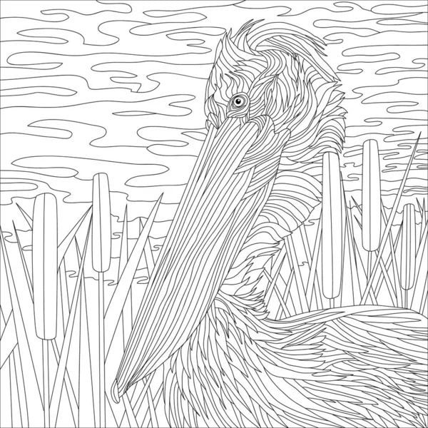 Färgläggning Illustration Bild Pelikan Fågel Stor Näbb — Stockfoto