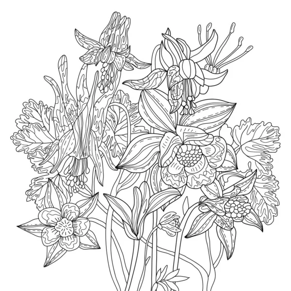 Columbine Çiçekleri Ile Vektör Boyama Botanik Çizimi Boyama Sayfası Çiçek — Stok fotoğraf