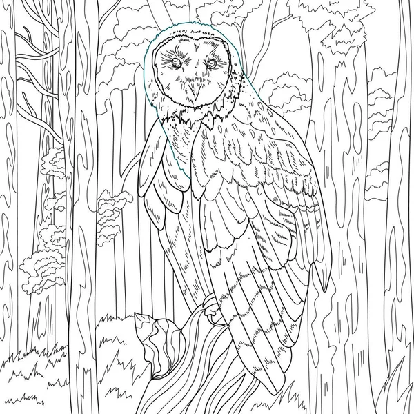 Coloring Illustration Picture Owl Bird — Stock Photo, Image