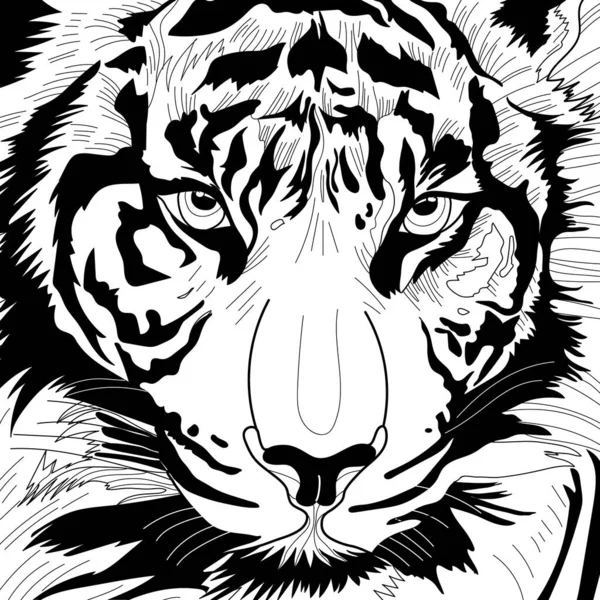 Coloriage Illustration Photo Tête Animal Tigre — Photo