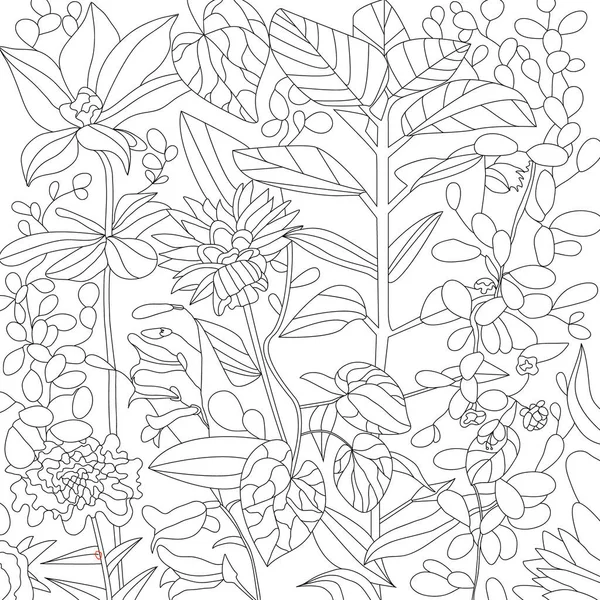 Fleurs Botaniques Pétales Coloriage Illustration Photo — Photo