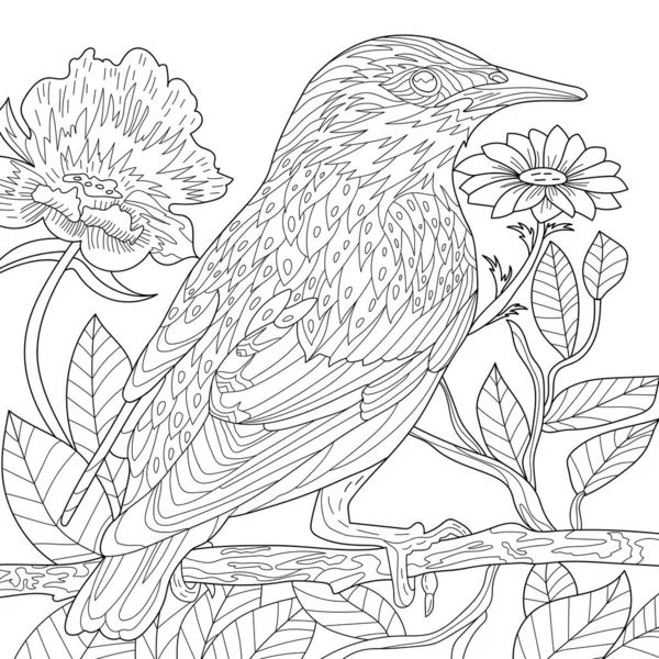 Illustrazione Colorare Immagine Uccello Pappagallo Tropicale — Foto Stock