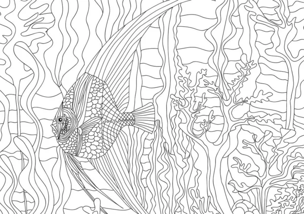 fish in sea underwater, Coloring illustration picture